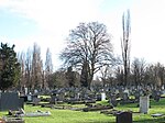 Thumbnail for File:Willesden New Cemetery - geograph.org.uk - 2826285.jpg