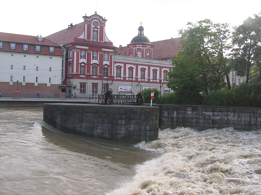 Jaz św. Macieja