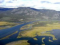 Yukon River 2003.jpg