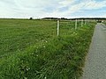 27 July 2021 (according to Exif data) File:Zaun einer Pferdekoppel am Rande des Wohngebiets Kirschengarten in Tauberbischofsheim.jpg