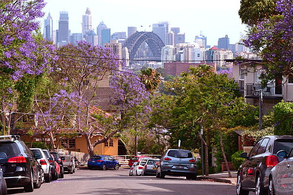 Suburban street in Neutral Bay, a suburb of the Lower North Shore