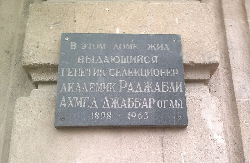 File:Мемориальная доска Ахмеда Раджабли в Баку.jpg
