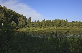 Вид на озеро летом 2018 года.