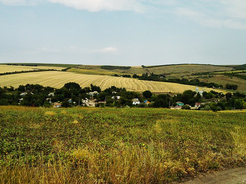 File:Село Рошканий де Сус - panoramio.jpg