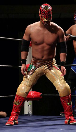 <span class="mw-page-title-main">Takoyakida</span> Japanese professional wrestler