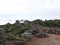 2019年6月29日 (土) 14:27時点における版のサムネイル