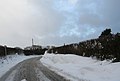-2021-02-09 Drifting snow on Cromer Road, Sidestrand (1).JPG