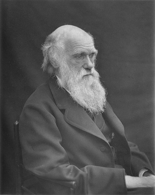 1878 Darwin photo by Leonard from Woodall 1884 - cropped grayed partially cleaned