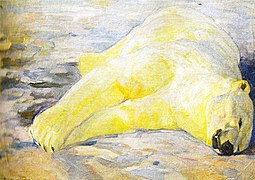 A killed polar bear, Novaya Zemlya, 1912-1914