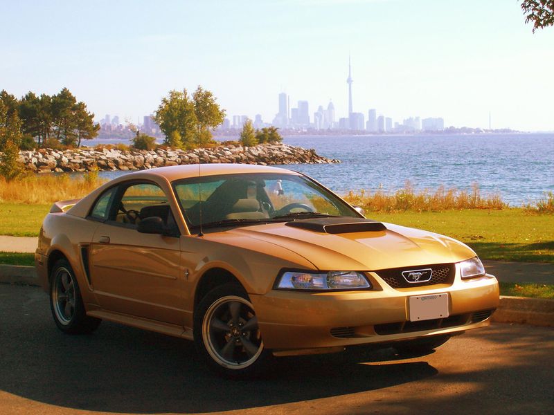 File:2000 V6 Sunburst Gold.jpg