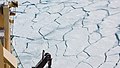 2007 Snow-Hill-Island Luyten-De-Hauwere-Sea-Ice-15.jpg