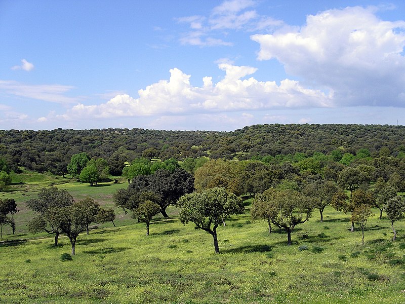 File:2010-05-01 Soto de Viñuelas - panoramio (1).jpg