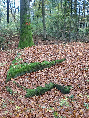 Wall remains