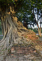 Wat Mangkon im Geschichtspark Sukhothai