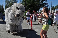 2015 Fremont Solstice parade - Polar bear 07 (19304253182).jpg