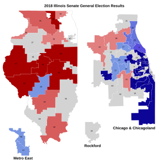 Results of the 2018 Illinois Senate election. 2018 IL Senate Results.svg