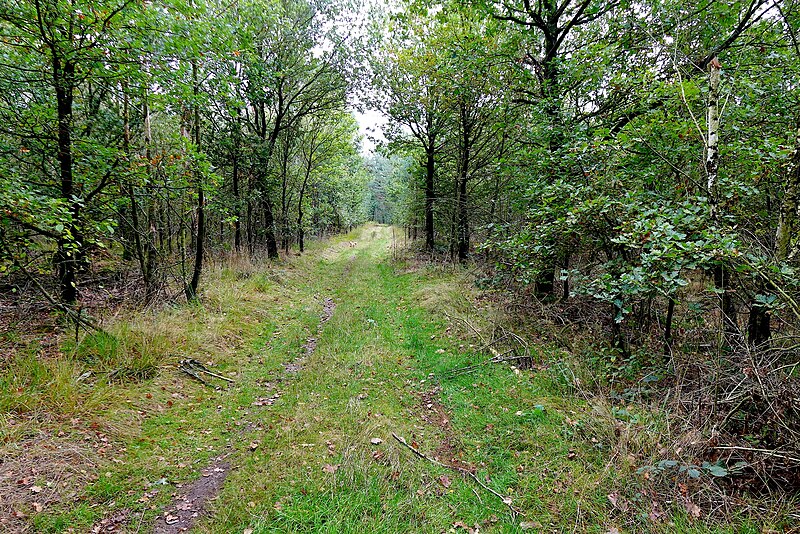 File:2019-10-05 Hike Forst Leucht. Reader-05.jpg