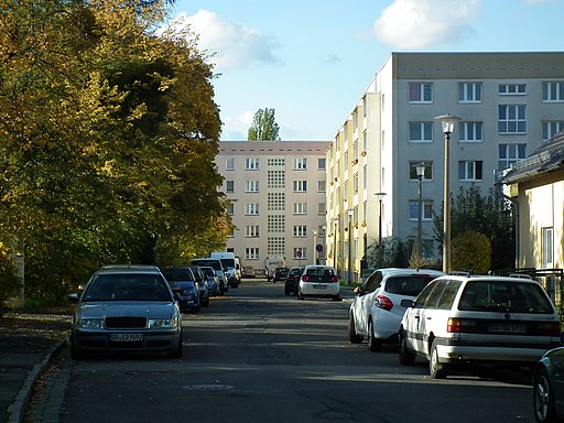 2020-10-24 Sonniger Weg, Dresden 03