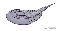 20200814 Venustulus waukeshaensis.png 