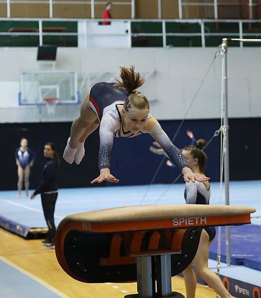 File:2022-11-19 WAG all-around competition II Vault at Jan Gajdoš Memorial 2022 (Martin Rulsch) 127.jpg