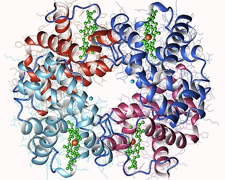 Hemoglobin