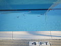 4 Foot Section of Swimming Pool.jpg