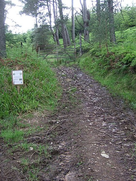 File:A track junction on the Fungle Road - geograph.org.uk - 832215.jpg