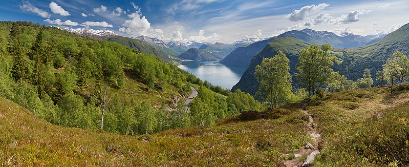 File:A view towards Norddalsfjorden near Kilsti, Møre og Romsdal, Norway, 2013 June.jpg