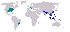 Območje razširjenosti     izvorno     vnešen (stanje 2007)