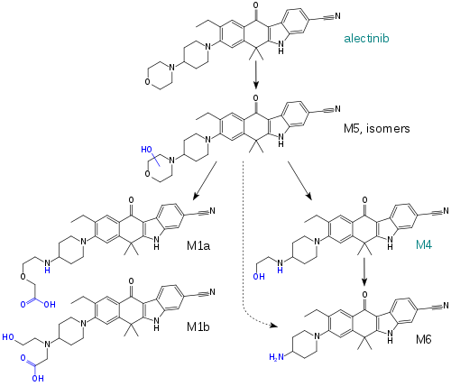 Proposed metabolism of alectinib. Alectinib itself and the active metabolite M4 are the main compounds found in the circulation, while the others are minor metabolites. Alectinib metabolism.svg