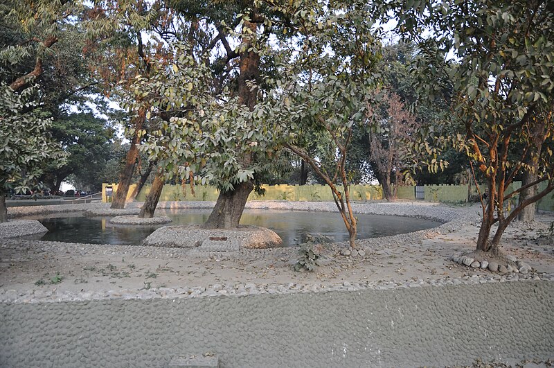 File:Alipore Zoological Garden - Kolkata 2011-01-09 0116.JPG