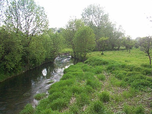 Almeaue bei Alfen Mai 2005