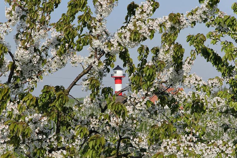 File:Altes Land IMG 2642 DxO.jpg