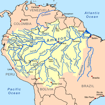 亚马逊河流域由大量支流组成，河水最终流入大西洋。而除了亚马逊河之外，上图还显示了亚马逊河的不同支流。