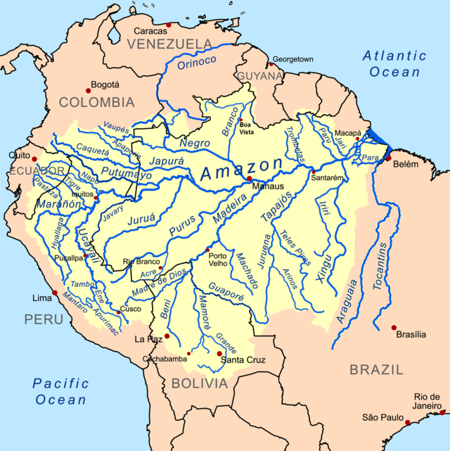 Distribuição da espécie na América do Sul(em amarelo ).