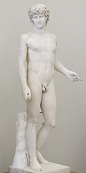 Antinous Farnese MAN Napoli Inv6030 n01.jpg