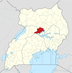 Location of アパッチ県