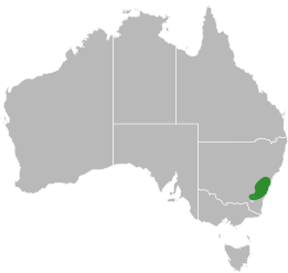 File:Aprasia parapulchella distribution.svg