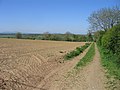 Arable farmland near Tullerstown, Co. Wexford - geograph.org.uk - 1874430.jpg