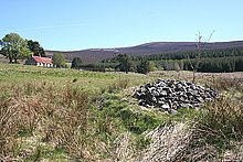 Cairn marking the spot where Patrick Gordon of Auchindoun was killed Auchindown's Cairn - geograph.org.uk - 1300868.jpg