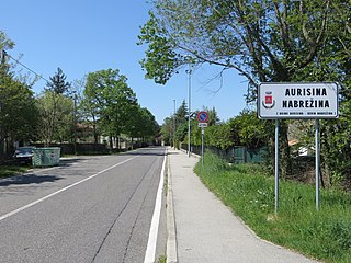 <span class="mw-page-title-main">Aurisina</span> Town in Friuli Venezia Giulia, Italy