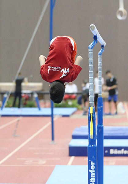 File:Austrian Future Cup 2018-11-23 Training Afternoon Parallel bars (Martin Rulsch) 0467.jpg