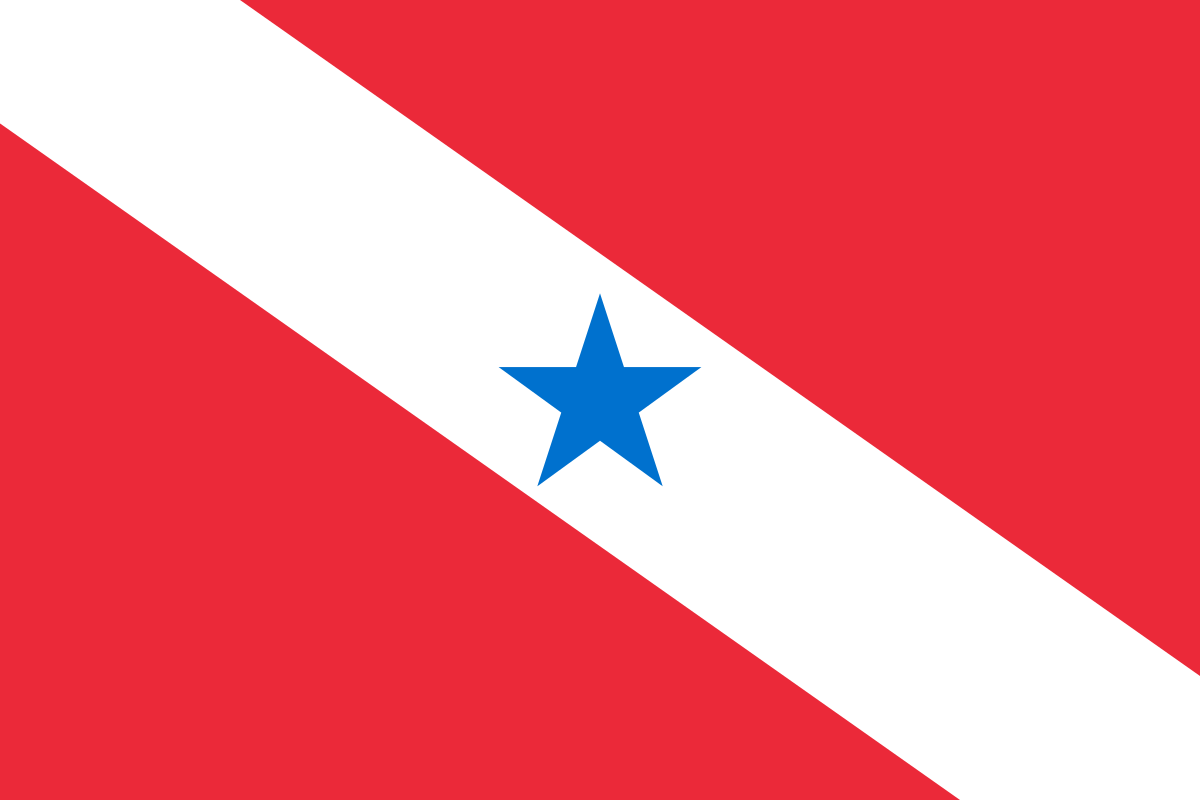 Bandeira do Pará – Wikipédia, a enciclopédia livre