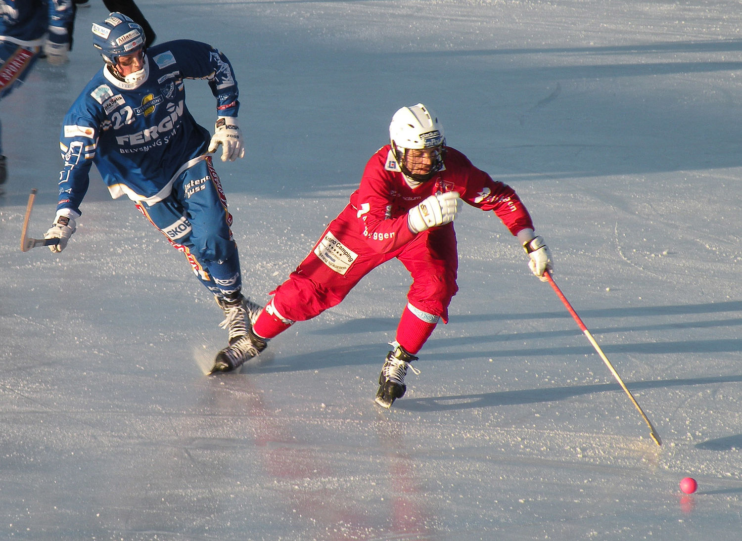 Роликовый роликовый хоккей - Roller in-line hockey