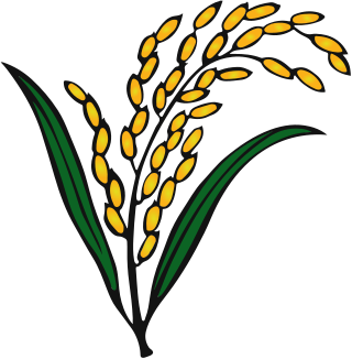 <span class="mw-page-title-main">Sheaf of Paddy (politics)</span> Symbol of the Bangladesh Nationalist Party