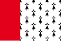 Flag of Pays Nantais (Bro Naoned) (SVG, simplified)