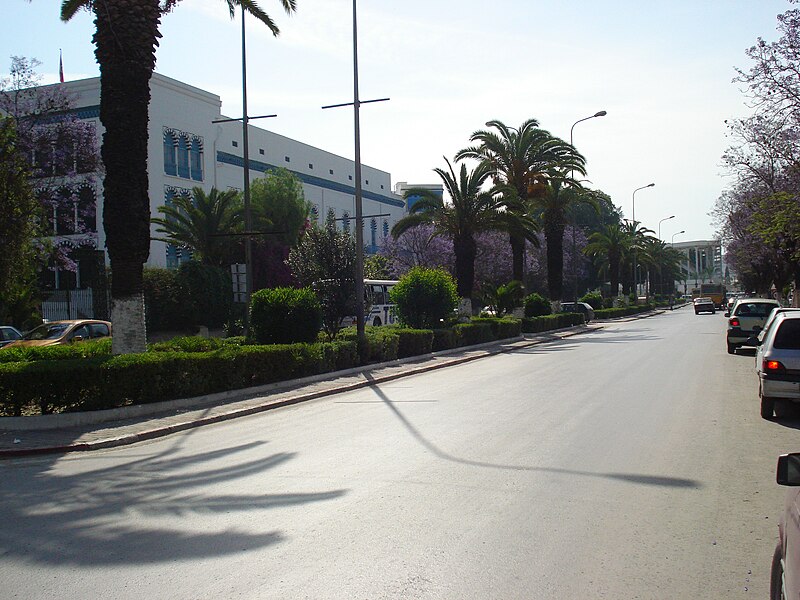 صورة:Bardo - Avenue 2 mars.jpg