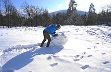 雪だるま Wikipedia