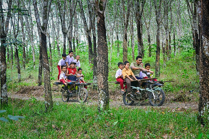 🥈 Berangkat Sekolah Melewati Hutan