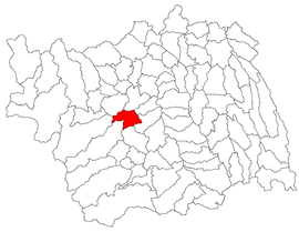 Lage im Landkreis Bacău